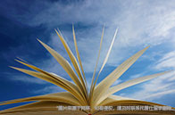 5月加拿大BC省提名移民抽簽最新概況