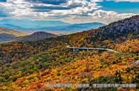 NTU公共管理研究生院英文授課項目開放申請