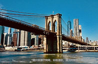 溫莎大學應用經濟和政策碩士申請要求有哪些？