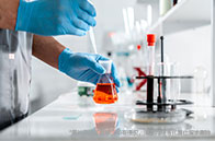 曼徹斯特大學(xué)心理學(xué)申請條件有哪些？