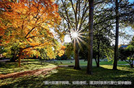 新加坡國立大學難進嗎？難！