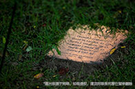 西安大略大學有哪些學院？