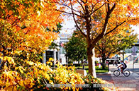 分享|紐約大學(xué)在讀學(xué)生評(píng)價(jià)