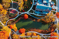 UBC大學本科申請批次有哪些？