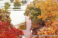 NTU公共管理研究生院英文授課項目開放申請