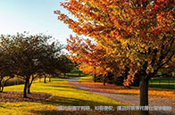 利物浦大學碩士申請專業背景要求一覽