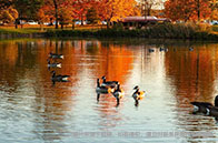 圣安德魯斯大學(xué)申請條件有哪些？