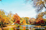 達爾豪斯大學2025世界排名情況：暴漲23位，世界第275