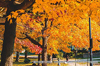 喬治城大學(xué)成立國際與邊境研究中心（CIBS）