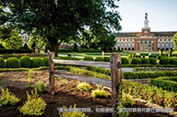 圣路易斯華盛頓大學系統科學與數學專業詳解