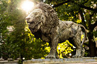 帝國理工學院容易申請的專業有哪些？