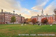 帝國(guó)理工學(xué)院好申請(qǐng)的專業(yè)有哪些？