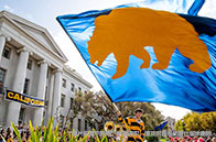 麥吉爾大學化學工程碩士錄取條件