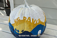 英國QS100大學雅思要求多高？