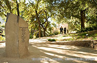 麥吉爾大學全球制造和供應(yīng)鏈管理碩士申請要求