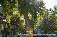 滑鐵盧大學本科計算機申請攻略