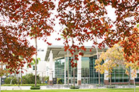 麥吉爾大學零售管理碩士申請條件有哪些？