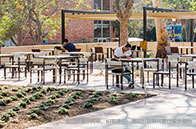 創世紀發明：NUS研發出高效能太陽能電池