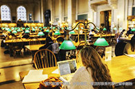 加州大學戴維斯分校本科有商科嗎？