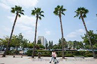 加拿大留學一年30萬夠嗎？差不多！