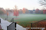 MIT生物專業研究什么？