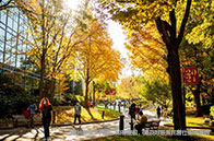 新加坡國立大學畢業生就業情況