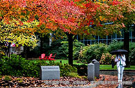 英國約克大學碩士一年花費多少錢？