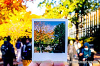 帝國理工學院生物醫學工程申請條件有哪些？