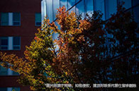 芝加哥大學數字研究碩士值得讀嗎？