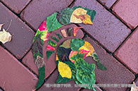 加州大學(xué)2025qs世界排名一覽