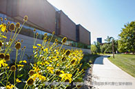 美國西北大學2025qs排名情況：持續下滑