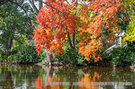 新加坡留學(xué)生日常生活十大禁忌