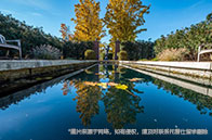 愛丁堡大學院系設置介紹