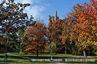 NTU聯(lián)合SMART開發(fā)出測量沼澤碳儲量新方法