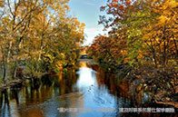 美國大學比較厲害的專業有哪些？