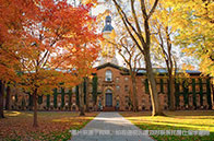 注意！新加坡國立大學部分專業強制面試