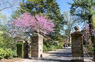 國際生申請紐約大學免學費嗎？有條件！