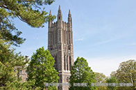 賓大商科有本科專業嗎？