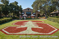 哥大商學(xué)院是什么檔次？