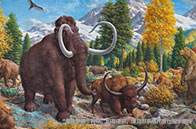 阿爾伯塔大學研究生申請條件解析