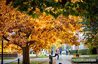 2024年加拿大安省大學申請系統新變化盤點