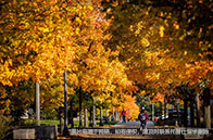 低分如何逆襲美國(guó)研究生？（附案例）