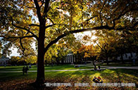 倫敦政治經濟學院最新學費一覽