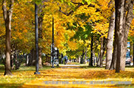 加拿大工程專業排名top20（2024最新）