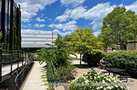 西北大學埃文斯頓校區將于6月改造升級