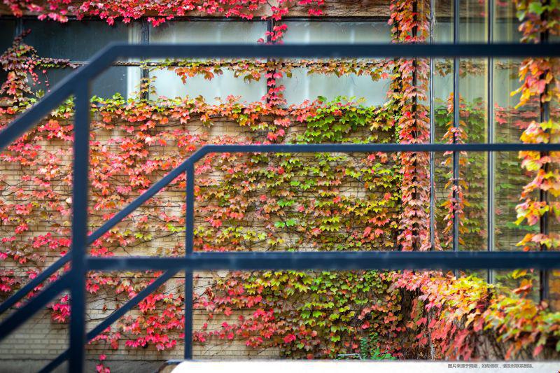 伊利諾伊大學(xué)香檳分校世界排名.jpg 伊利諾伊大學(xué)2.jpg