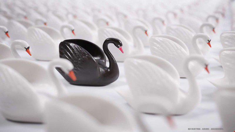 1658484862123957.jpg 大學2.jpg