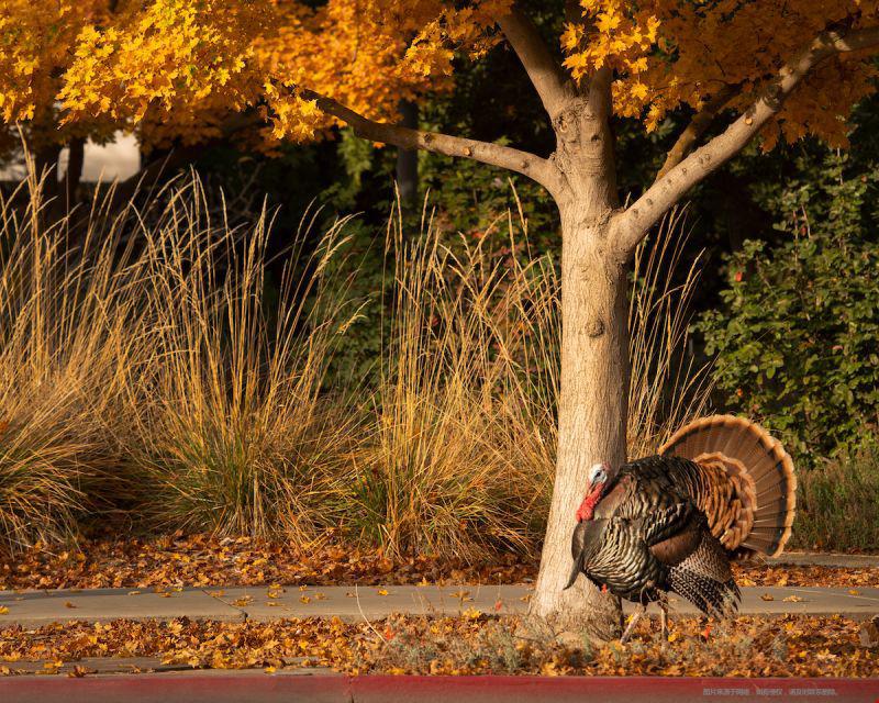 1658911490393826.jpg 大學9.jpg