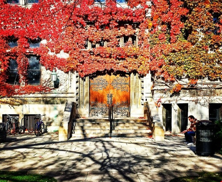 芝加哥大學.png 芝加哥大學.png