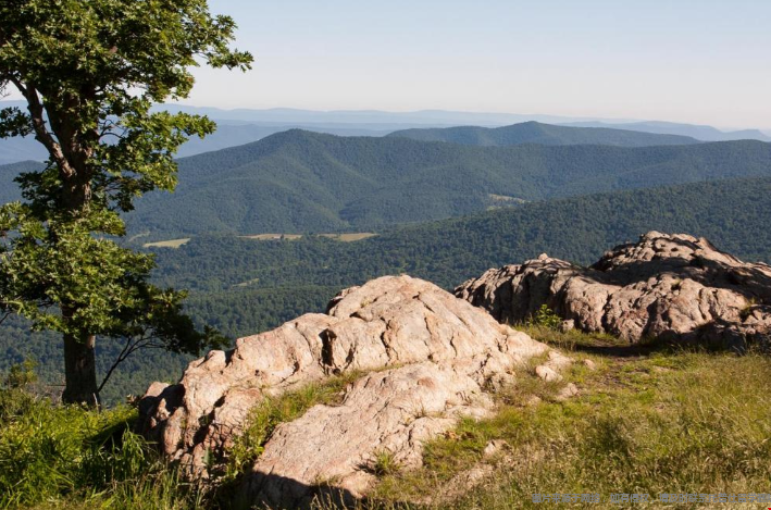 弗吉尼亞大學在哪座城市.png 弗吉尼亞大學在哪座城市.png